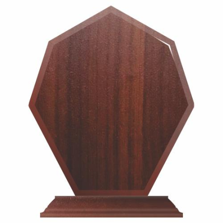 Trofee Lemn - Trofeu Lemn WTR06
