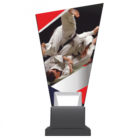 Trofee Sticla - Trofeu CG0/JUDO