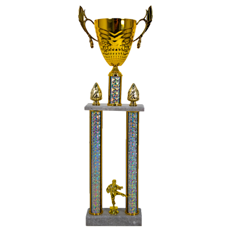 Cupe si Medalii - Cupa 2088