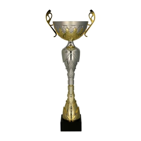 Cupe si Medalii - Cupa 7255