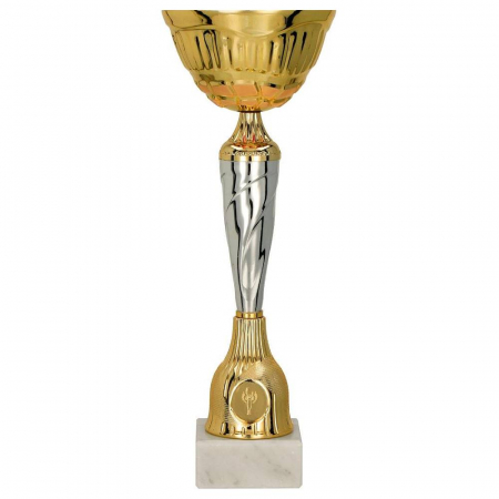 Cupe si Medalii - Cupa 9256