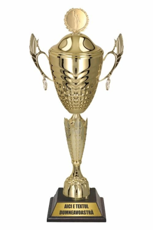 Cupe si Medalii - Cupa cu Capac