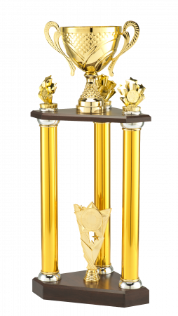 Noutăți - Cupa LT.086