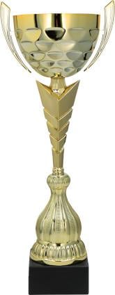 Cupe si Medalii - Cupa NT1052