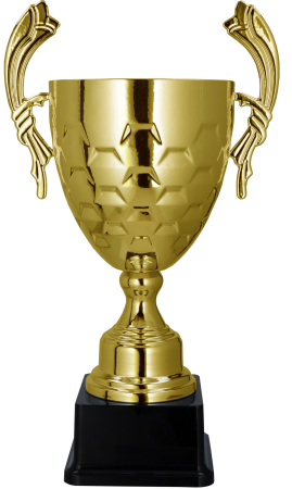 Cupe si Medalii - Cupa NT1090