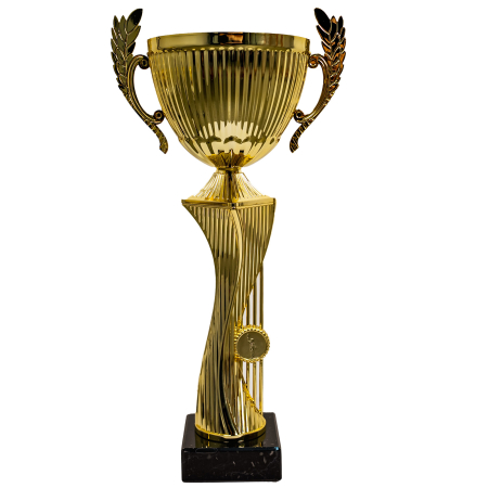 Noutati - Cupa STL2024/