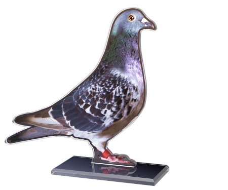 Trofee - Trofeu acril Columbofilie