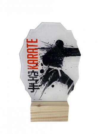 Trofee - Trofeu plexy/karate