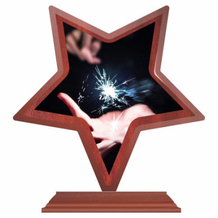 Cupe si Medalii - Trofeu Lemn Wstar