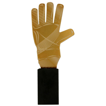 Cupe si Medalii - Trofeu MLV-SOC3