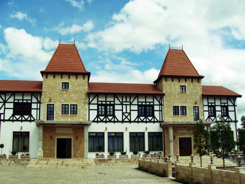Complex Castel Mosnita - salon medieval - Mosnita Noua, TM 1