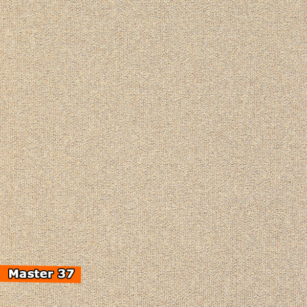 MASTER mocheta saloane evenimente [6]