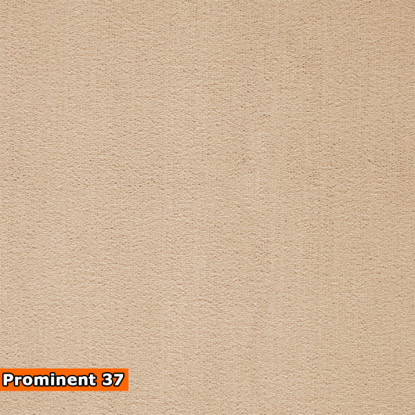 PROMINENT mocheta saloane evenimente [10]