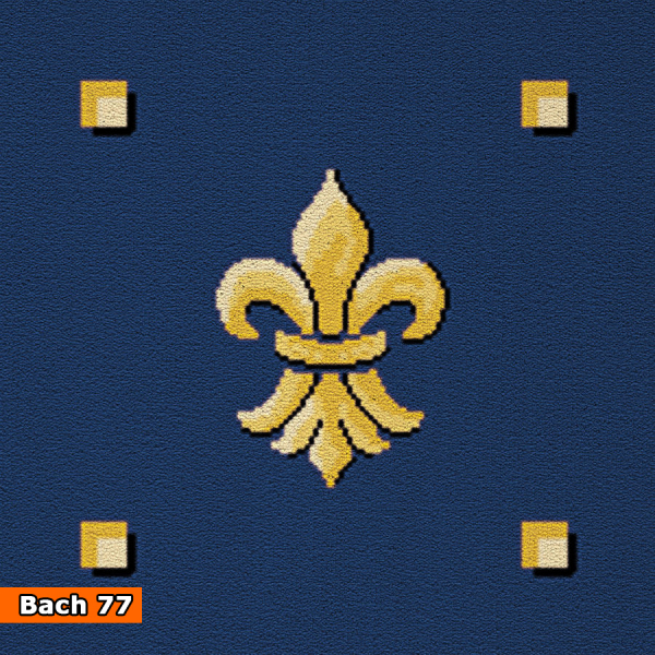 BACH mocheta saloane evenimente [5]