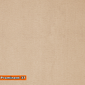 PROMINENT mocheta saloane evenimente [9]