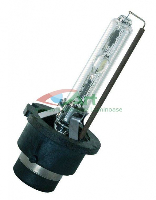 Bec xenon D2S [4]