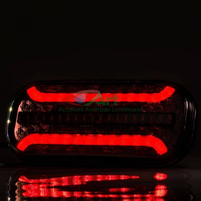 Lampa spate FT-230 COF LED dreapta (21x9.5) lumina numar [19]