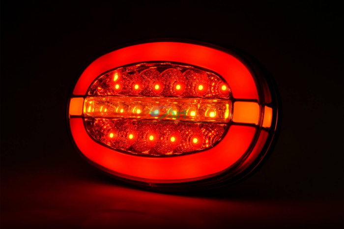 Lampa spate LED-Neon W205 1427L/P Was (13.6x9.1) [5]