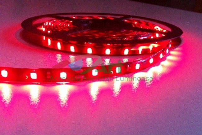 Rola banda LED 12V Rosie Rezistenta la apa 5 M [1]