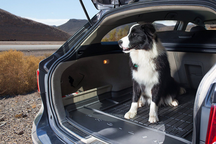 Tavita de portbagaj Skoda Superb III, caroserie Combi, fabricatie 09.2015 - prezent, portbagaj superior #3 [9]