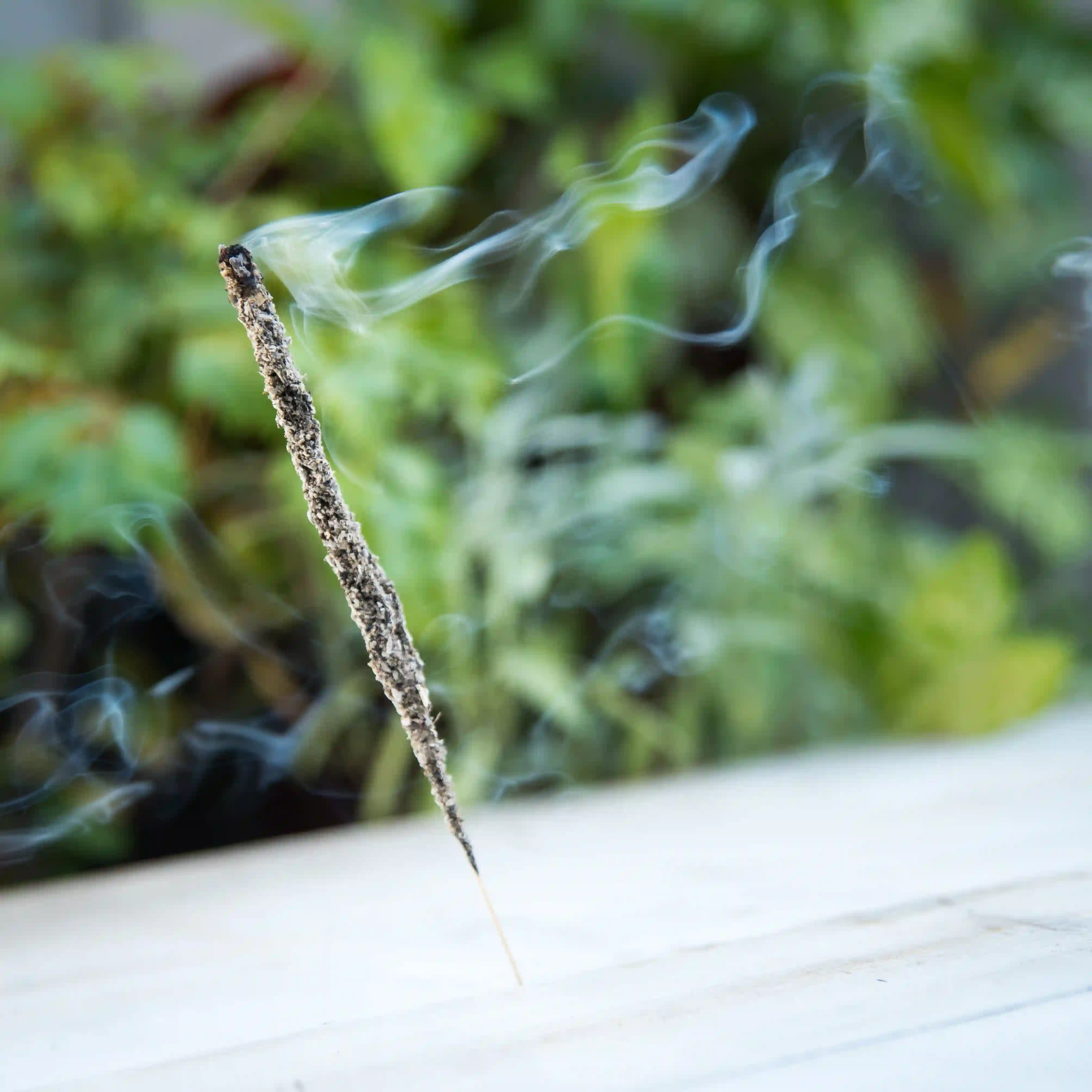 Bețișoare Parfumate Luxury Sagrada Madre Colecția Linea Hierbas – Salvia Blanca (White Sage) [5]
