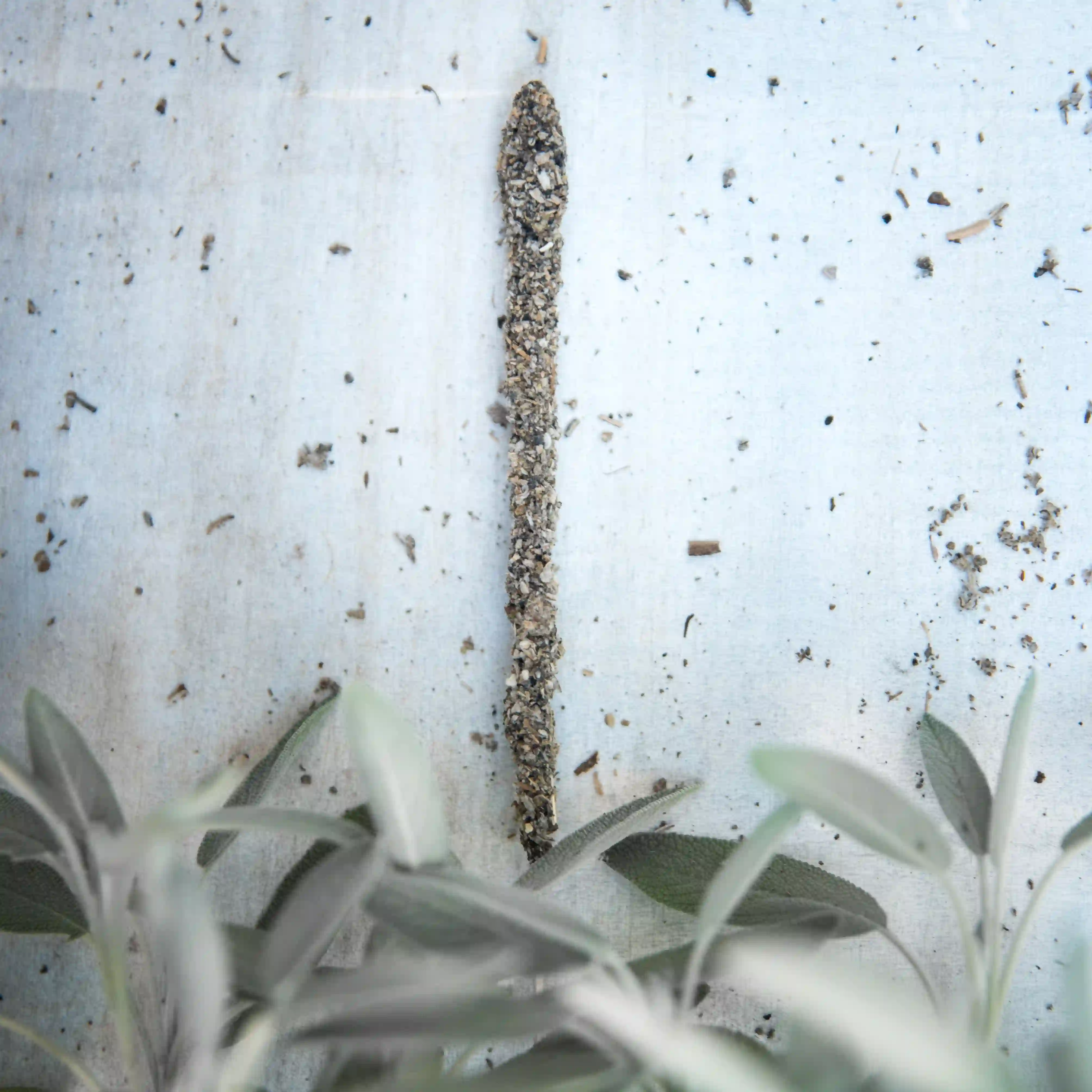 Bețișoare Parfumate Luxury Sagrada Madre Colecția Linea Hierbas – Salvia Blanca (White Sage) [4]