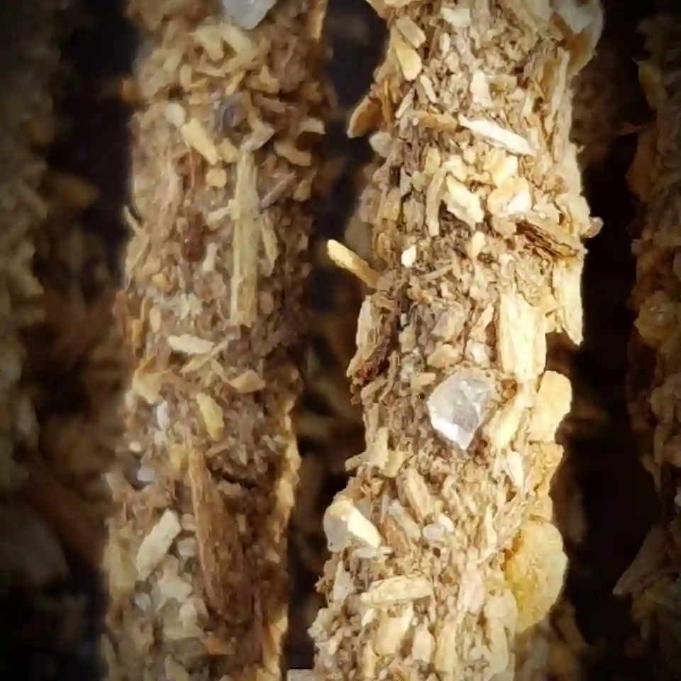Bețișoare Parfumate Luxury Sagrada Madre Colecția Palo Santo - Tămâie (Frankincense) [6]