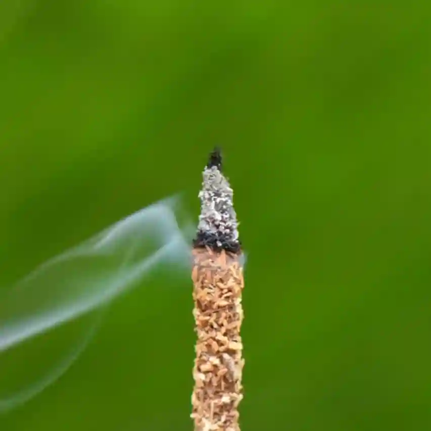 Bețișoare Parfumate Luxury Sagrada Madre Colecția Palo Santo - 100% Lemn de Santal (Peru) [8]