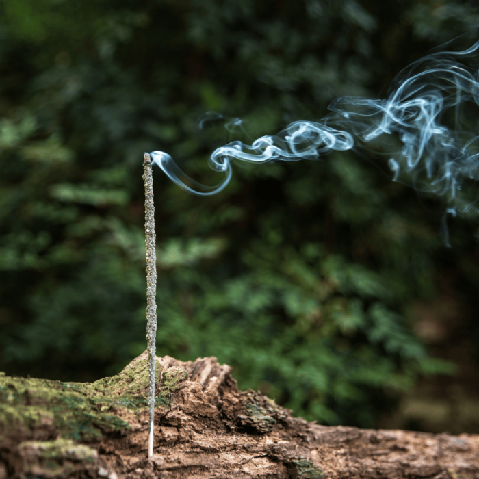 Bețișoare Parfumate Luxury Sagrada Madre Colecția Naturales - Copal [4]