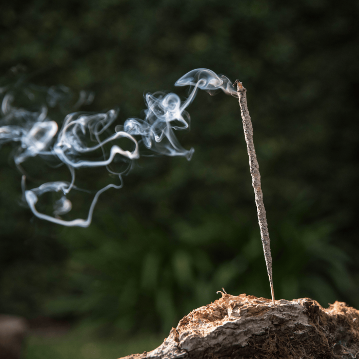 Bețișoare Parfumate Luxury Sagrada Madre Colecția Naturales - Yagra [6]