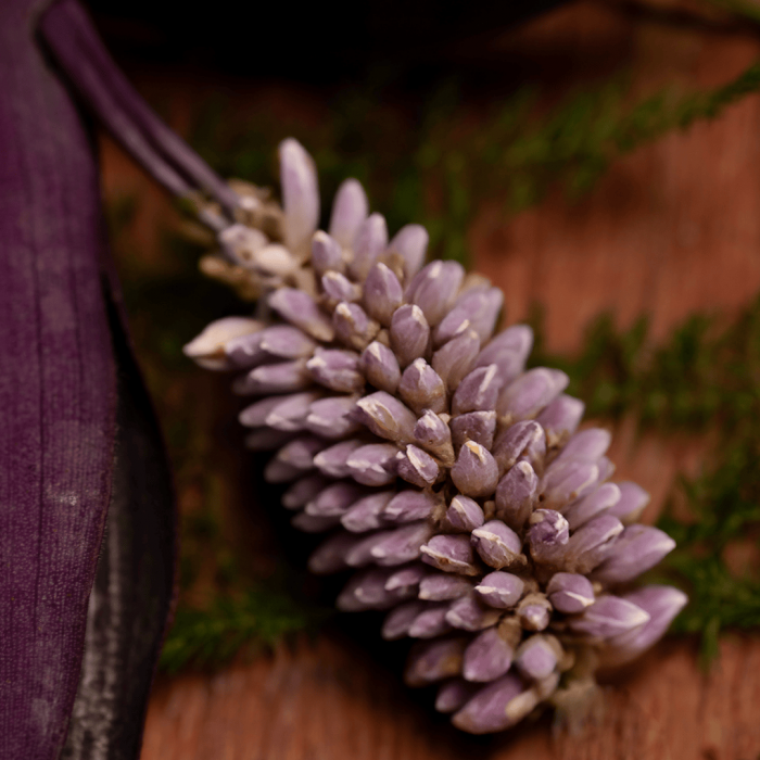 Bețișoare Parfumate Luxury Sagrada Madre Colecția Naturales - Patchouli [5]