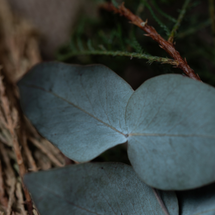 Mănunchi Luxury Sagrada Madre - 7 Plante (Înțelepciune & Creativitate) [9]