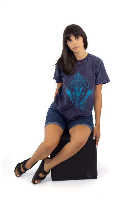 Tricou de vara Ganesha - Albastru [5]