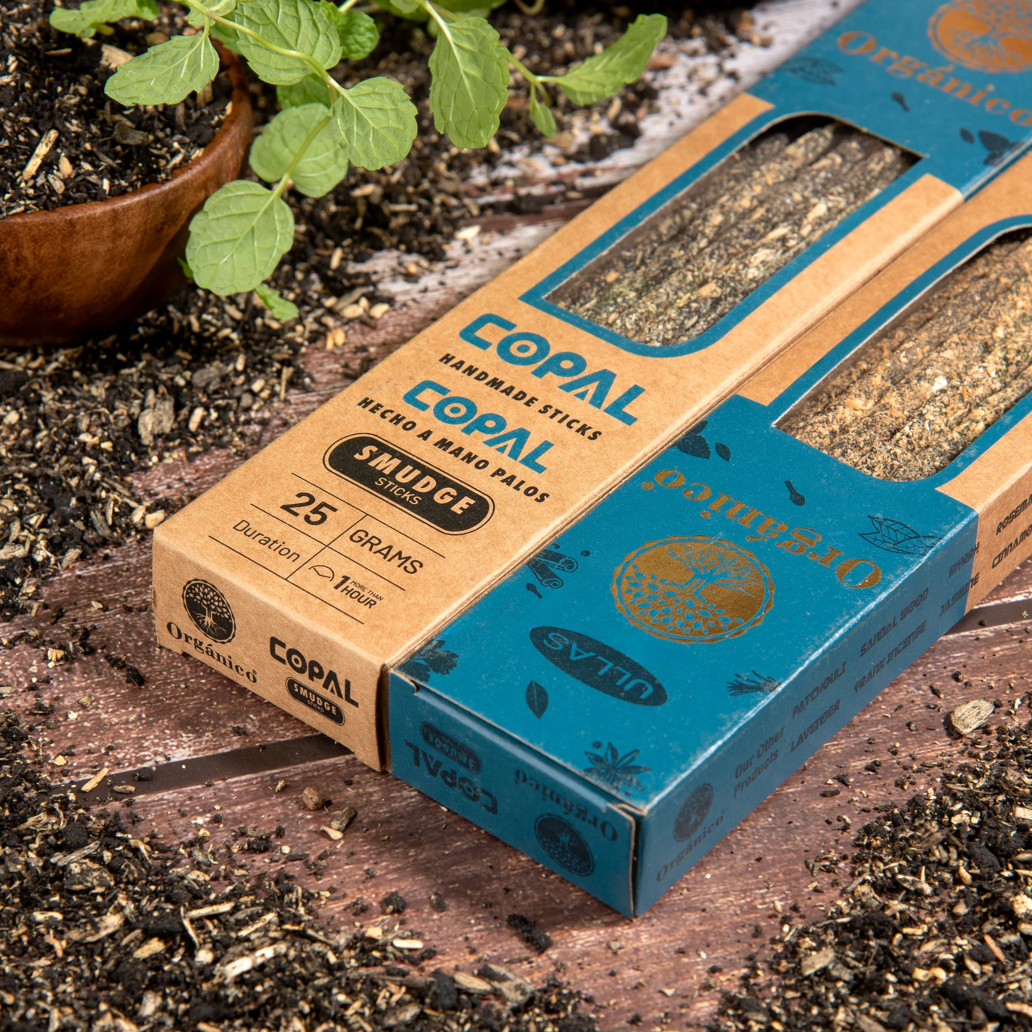 Bețișoare Parfumate Premium - Copal [3]