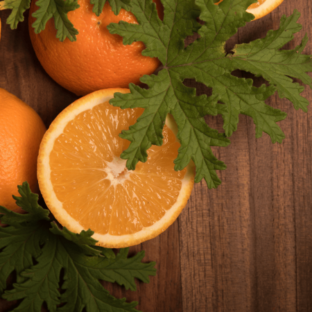 Bețișoare Parfumate Luxury Sagrada Madre Colecția Naturales - Palo Santo Citronella Orange Peel [4]