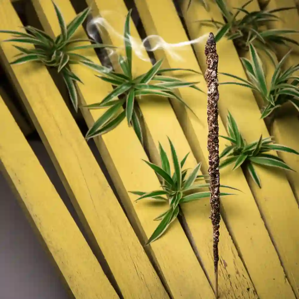 Bețișoare Parfumate Luxury Sagrada Madre Colecția Palo Santo - Iasomie [3]