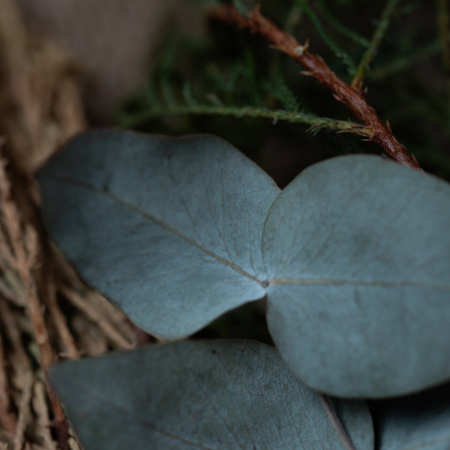 Mănunchi Luxury Sagrada Madre - 7 Plante (Înțelepciune & Creativitate) [8]