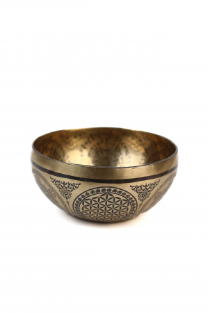 ZEN - Set Singing Bowl (bol,malete+pernita) - handmade - 18cm - 823gr - 195Hz - Medicine buddha