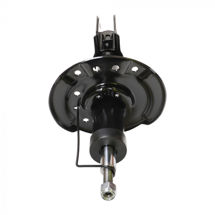 Amortizor fata FARA BRIDA ASAM 76084 [3]