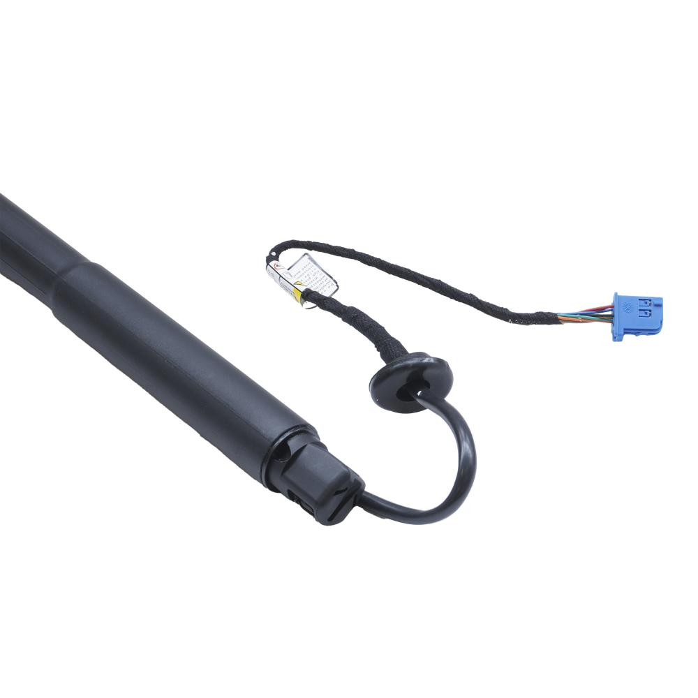 Amortizor portbagaj ELECTRIC ASAM 100173 [2]