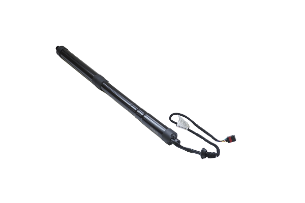 Amortizor portbagaj ELECTRIC ASAM 100174 [2]