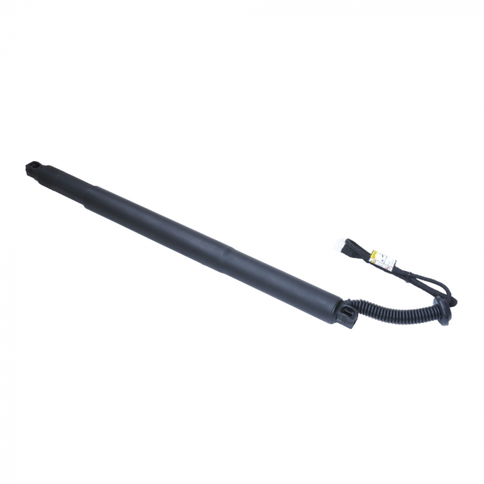 Amortizor portbagaj ELECTRIC DR. ASAM 100182 [4]