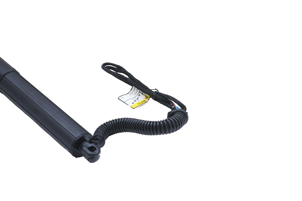 Amortizor portbagaj ELECTRIC DR. ASAM 100166 [2]