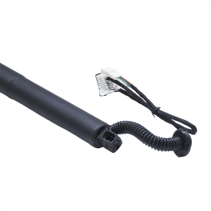 Amortizor portbagaj ELECTRIC DR. ASAM 100172 [4]