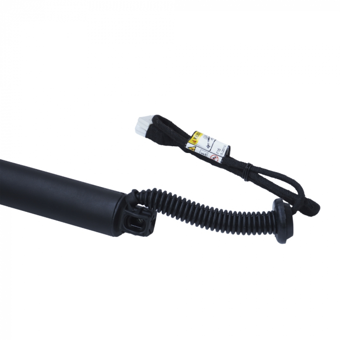 Amortizor portbagaj ELECTRIC DR. ASAM 100182 [3]