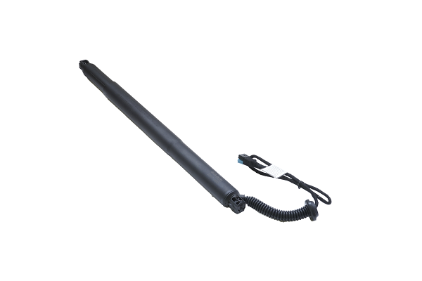 Amortizor portbagaj ELECTRIC STG. ASAM 100181 [4]