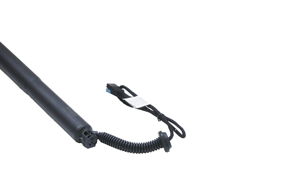 Amortizor portbagaj ELECTRIC STG. ASAM 100181 [3]