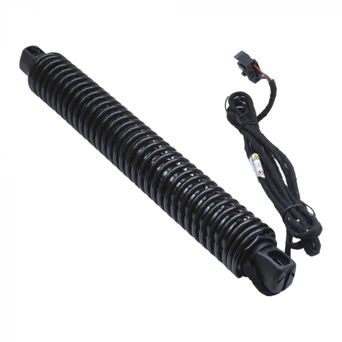 Amortizor portbagaj ELECTRIC STG. ASAM 100184 [3]