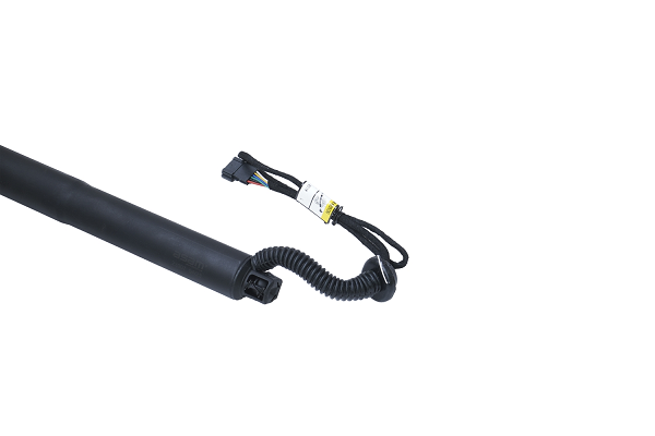 Amortizor portbagaj ELECTRIC STG. ASAM 100171 [4]