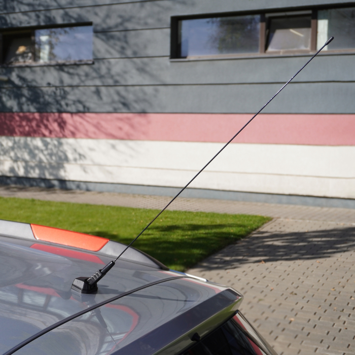 Antena Auto Pavilion [4]